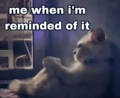 Me When I'm Reminded of It