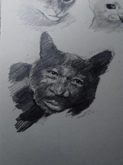 Мрачный кот карандашом