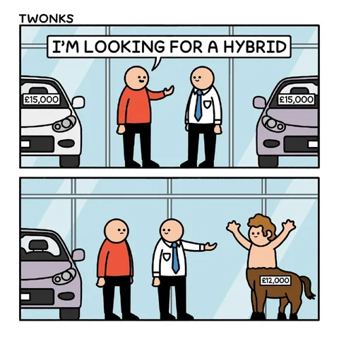 Looking for a Hybrid Car