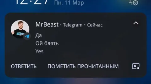 MrBeast случайно ответил «Да»