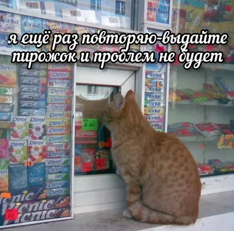 Кот требует пирожок