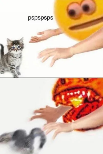 Pspspsps Cat Runs Away