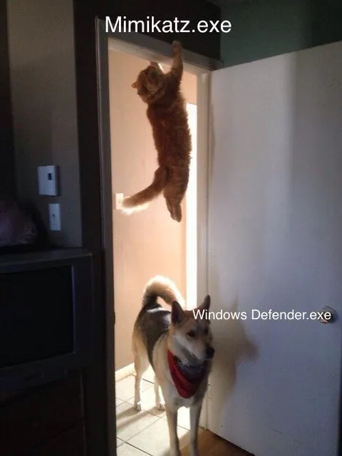 Cat Escapes Windows Defender