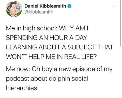 Dolphin Social Hierarchies Podcast
