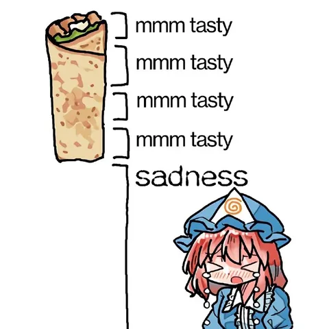 Burrito Ends in Sadness