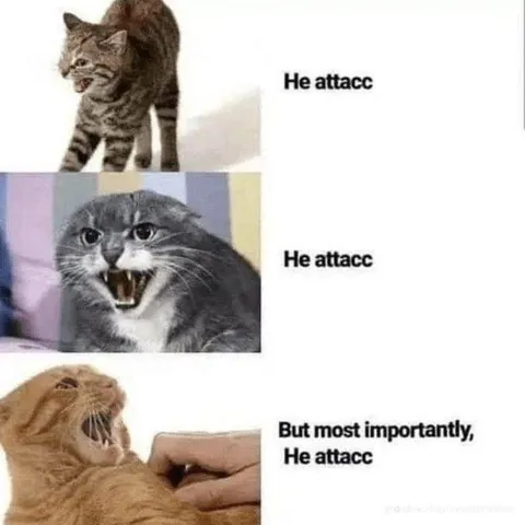 But Most Importantly, He Attacc