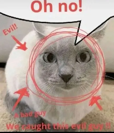 We Caught This Evil Guy