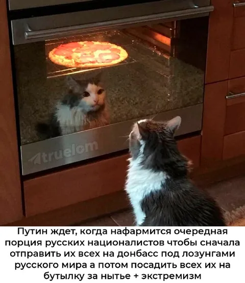 Путин ждёт националистов