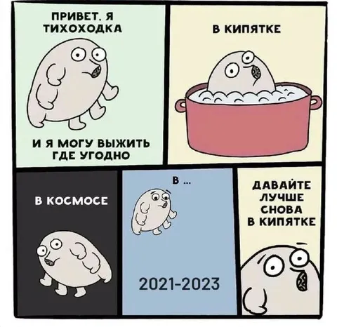 Тихоходка выживает где угодно