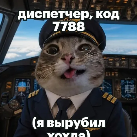 Кот-пилот вырубил кокпит