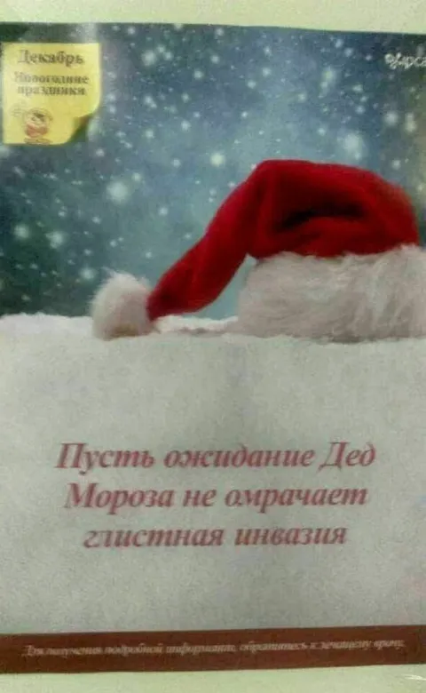 Глистная инвазия под Новый год