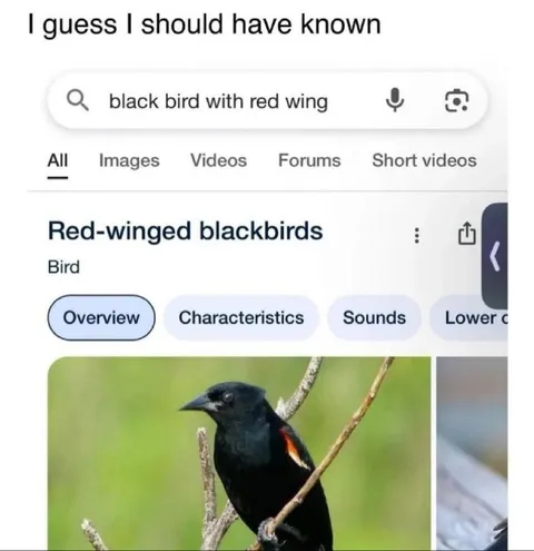 I Guess I Should Have Known
