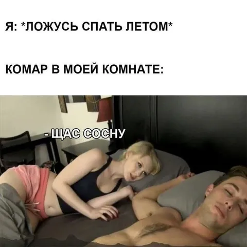 Комар не даст поспать летом