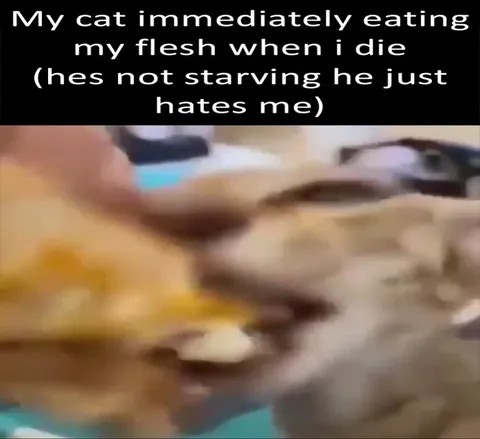 Cat Eats Me After I Die