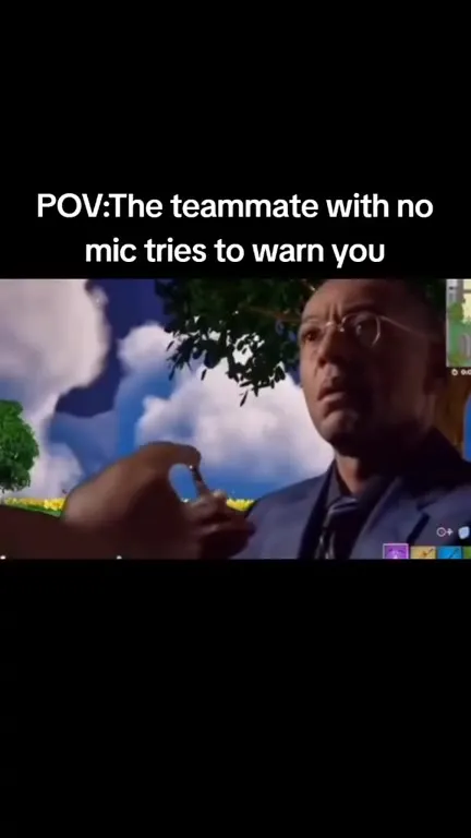 Teammate With No Mic Warns You
