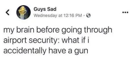 Brain Before Airport Security