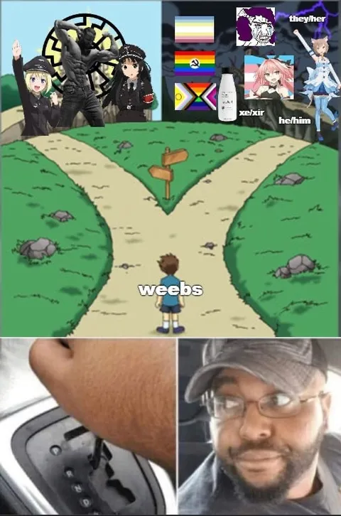 Weebs Choose Their Path
