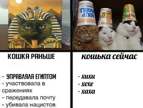 Кошка раньше и сейчас