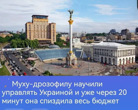 Дрозофила украла бюджет Украины