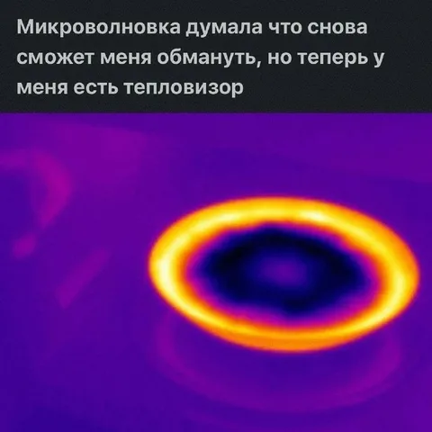 Микроволновка и тепловизор