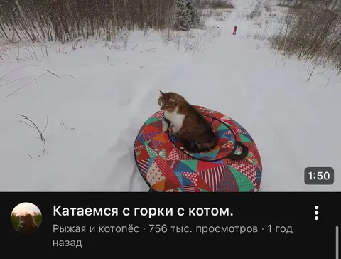 Катаемся с горки с котом