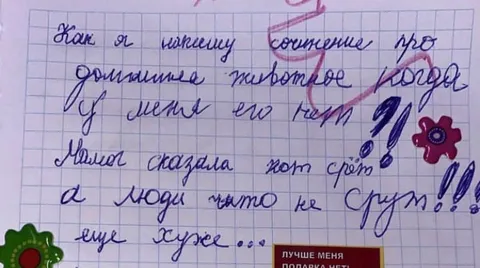 Сочинение про домашнее животное