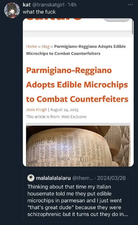 Edible Parmesan Microchips
