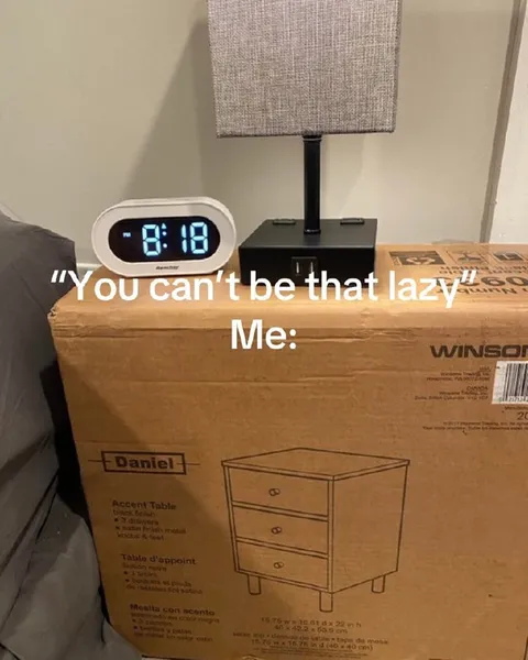 Too Lazy to Assemble Furniture