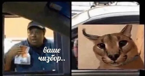 Ваше чизбор, сэр