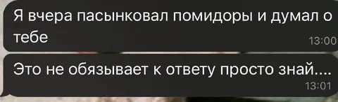 Пасынковал помидоры и думал о тебе