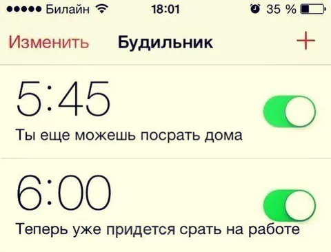 Будильник для туалета
