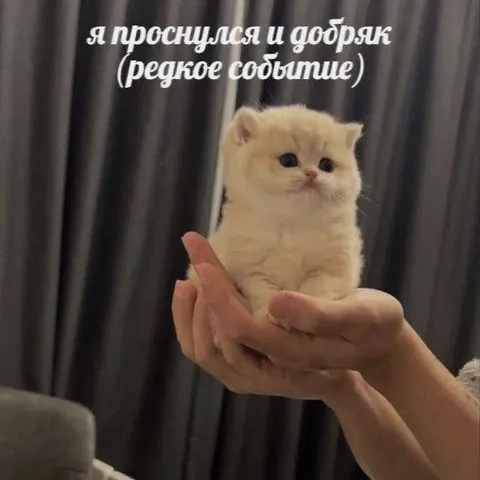 Проснулся и добряк