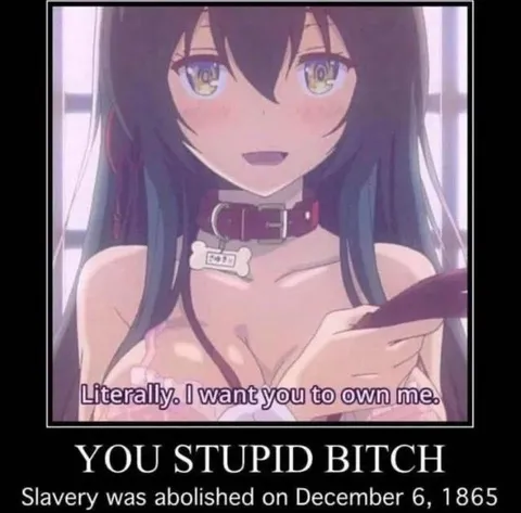 Slavery Was Abolished in 1865