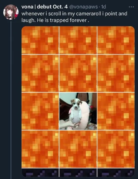 Dog Trapped in the Cameraroll