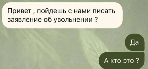 Пойдешь писать заявление?