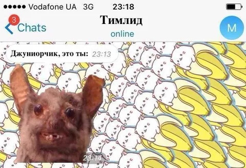 Джуниорчик среди кроликов
