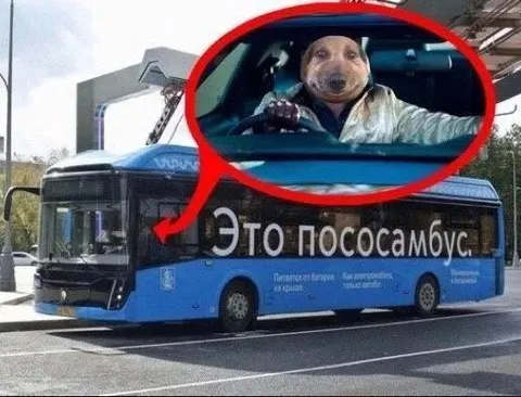 Это пососамбас