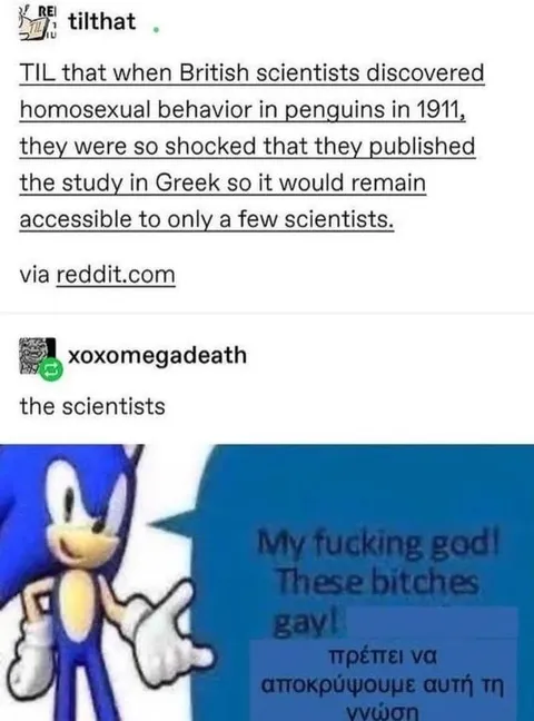 British Scientists Hide Penguin Research