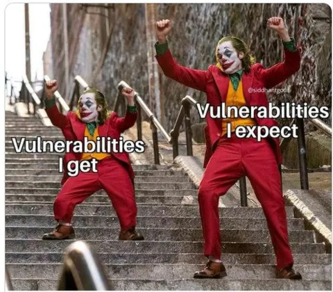 Vulnerabilities I Expect vs Get