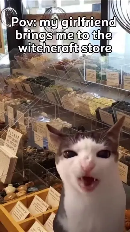 Girlfriend Takes Me Witchcraft Shopping