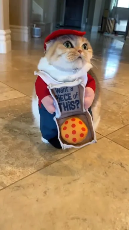 Cat Offers a Piece of Pizza