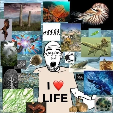I Love Life Nature Collage
