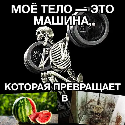 Тело превращает арбуз в какашки
