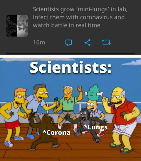 Scientists Watch Corona Battle