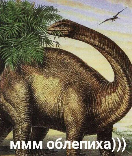 МММ облепиха)))