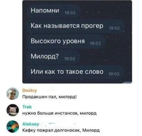 Программист высокого уровня, милорд