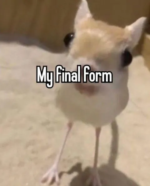 My Final Form Bird