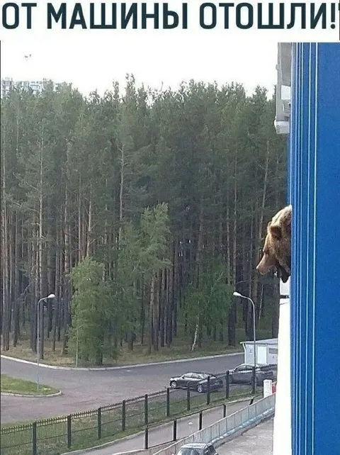 От машины отошли!