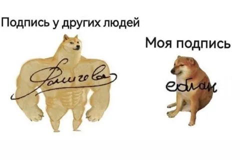 Подпись у других и моя подпись