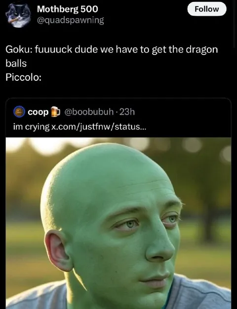 Piccolo Hears About the Dragon Balls